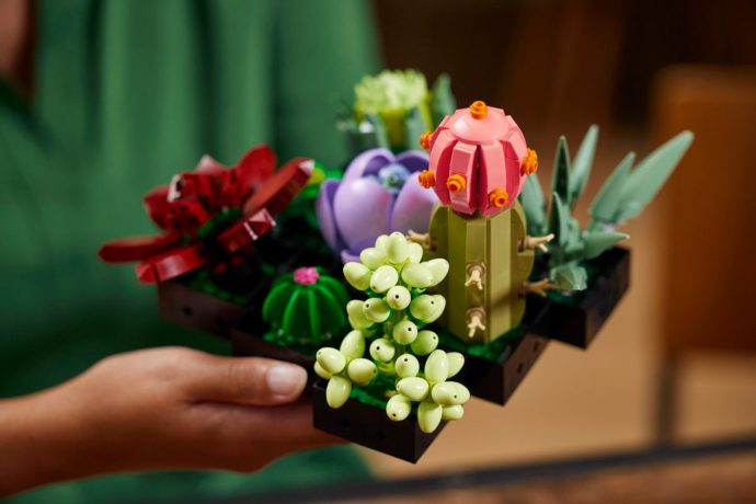 LEGO Botanical Collection adds these beautiful immortal Succulents to its catalog!