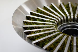 Moss humidifier uses natural and artificial tools to improve air quality!