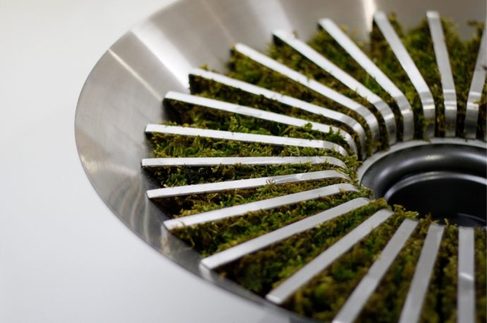 Moss humidifier uses natural and artificial tools to improve air quality!