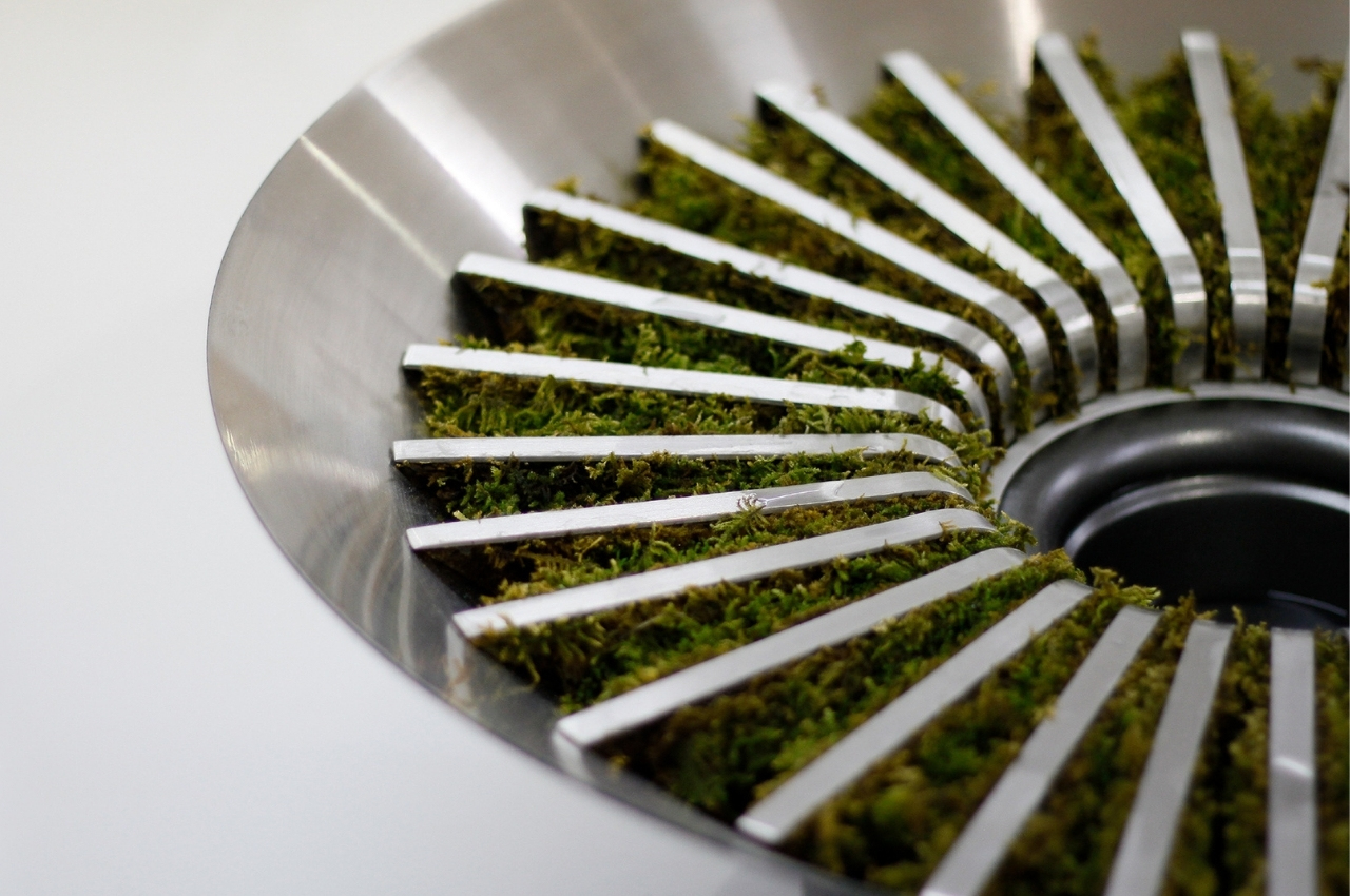 #Moss humidifier uses natural and artificial tools to improve air quality!