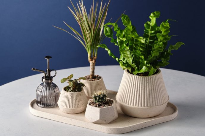 These beautiful homeware products are made from coffee’s biggest waste