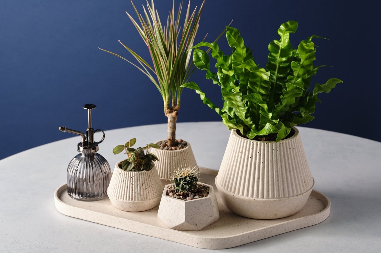 #These beautiful homeware products are made from coffee’s biggest waste
