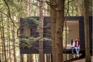 Tree house on a steep slope may be your new weekend getaway