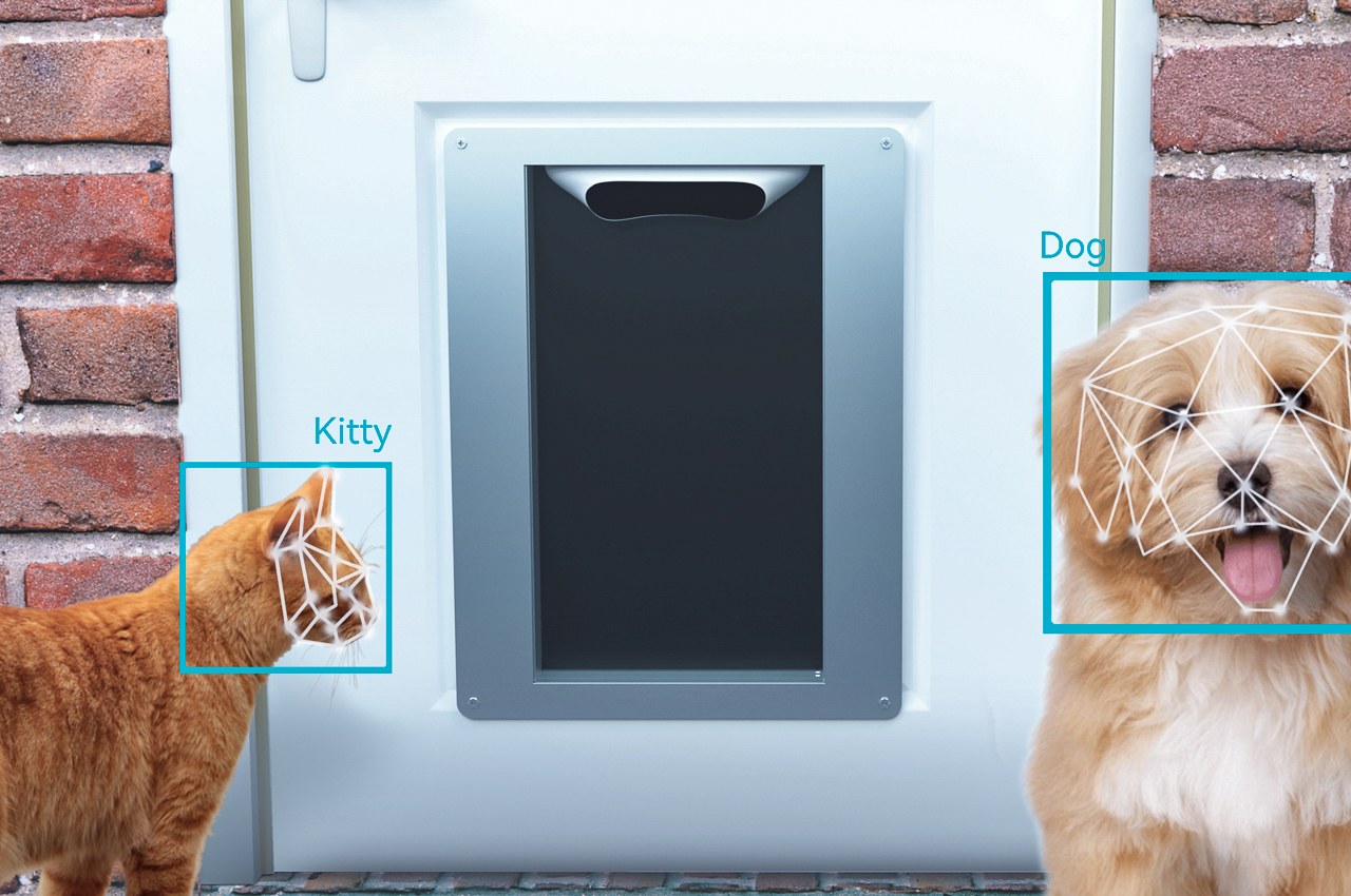 #This ‘Ring Doorbell for Pets’ uses facial recognition to let your pets enter/exit your home!