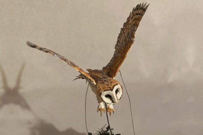 These hand-crafted miniature animals move when you turn the crank