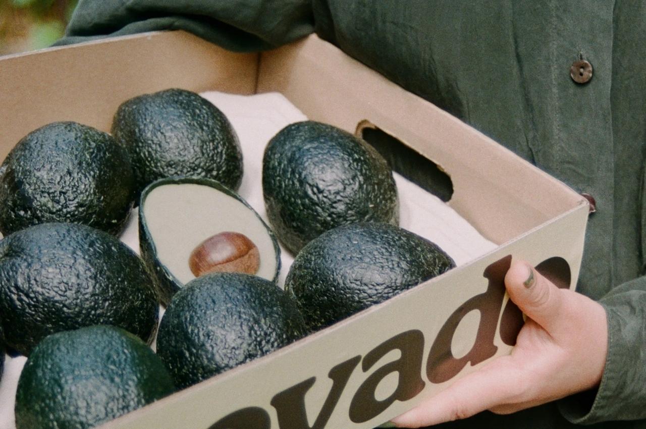 #Ecovado is a more environmentally-friendly alternative to avocado
