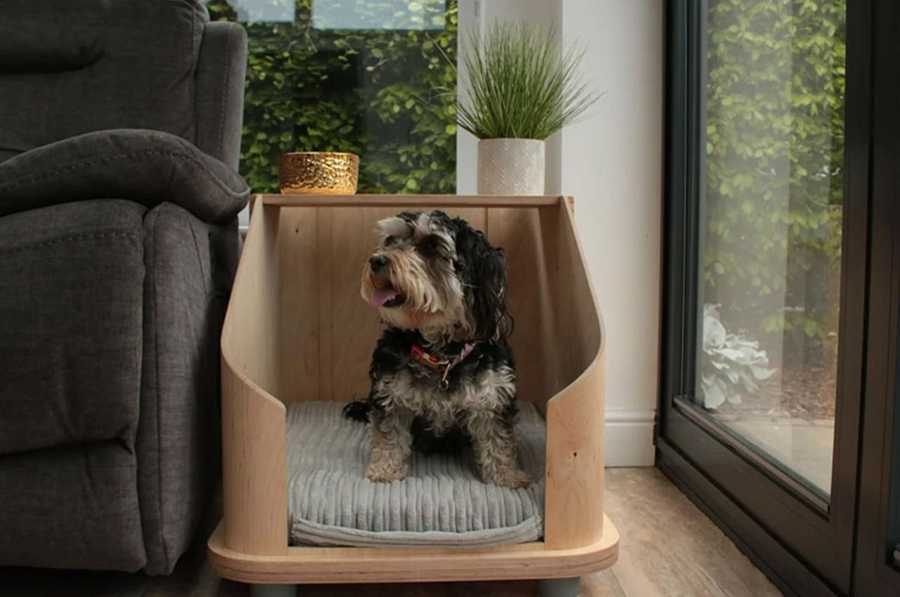 Top 10 Products To Give Your Pets The Quality + Comfy Life They Deserve -  Yanko Design