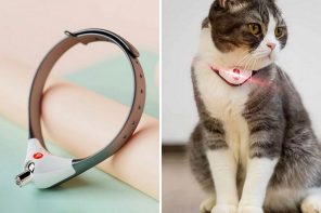 Cat collar with built-in laser pointer promises to keep your feline occupied for hours!