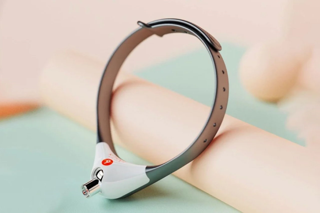 Cat collar with built-in laser pointer promises to keep your feline occupied for hours!