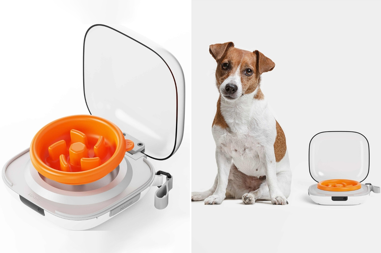 #Hank feed bowl helps your dog eat slowly and carefully