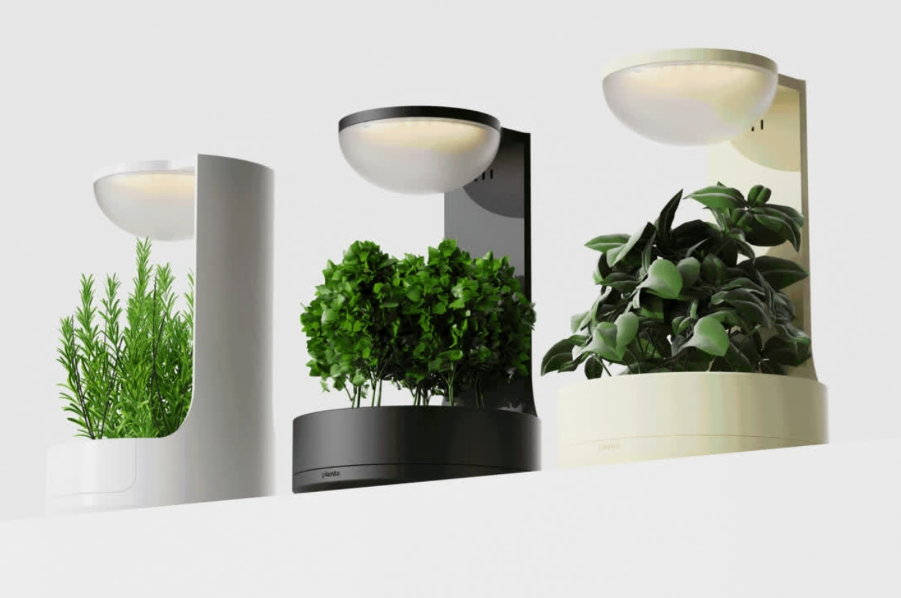 #Planta lets you “converse” with your plants virtually