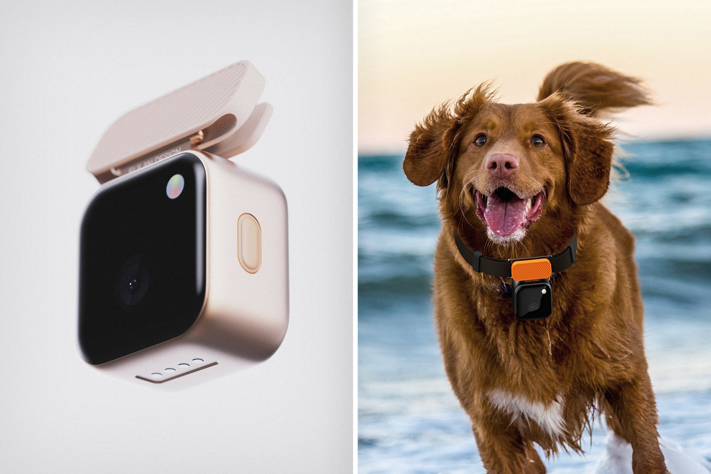 Action camera for your pet comes with built-in clip that fixes onto any  collar - Yanko Design