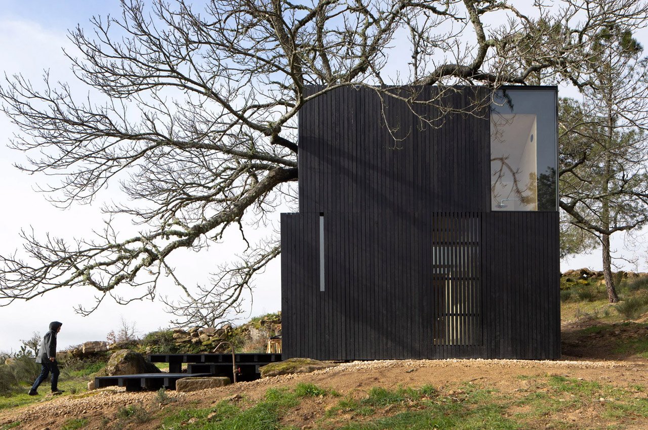 #This minimal wooden home was designed to focus on a majestic chestnut tree