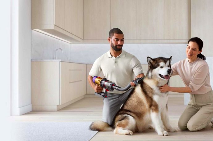 The Dyson pet grooming kit makes your pet’s after-bath ritual peaceful and stress-free