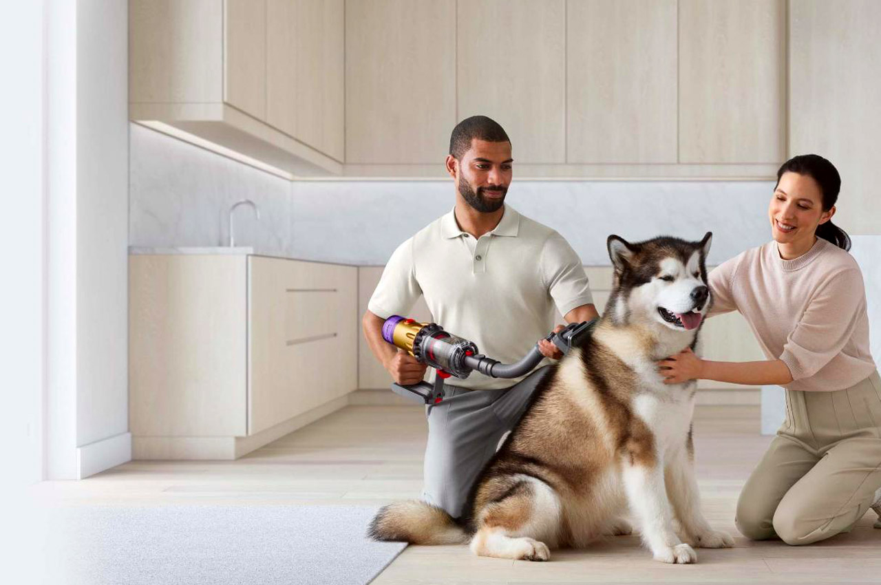 #The Dyson pet grooming kit makes your pet’s after-bath ritual peaceful and stress-free