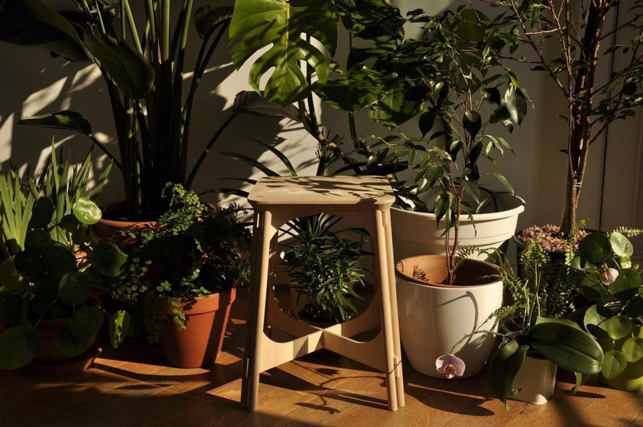 #This wooden stool offers a sustainable replacement for a common household product