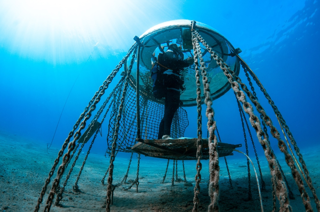 #Alien-like underwater agricultural farms bring self-sustaining greenhouses to coastal communities