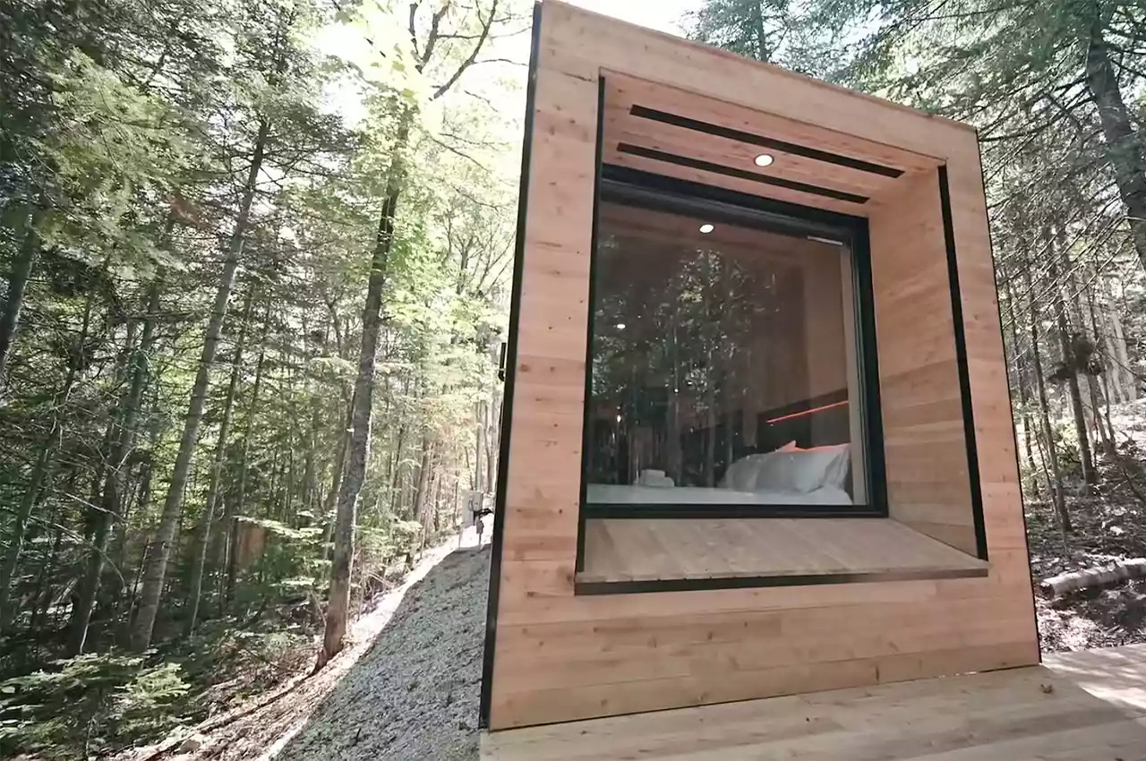 This small cabin in the woods was built using a repurposed shipping container