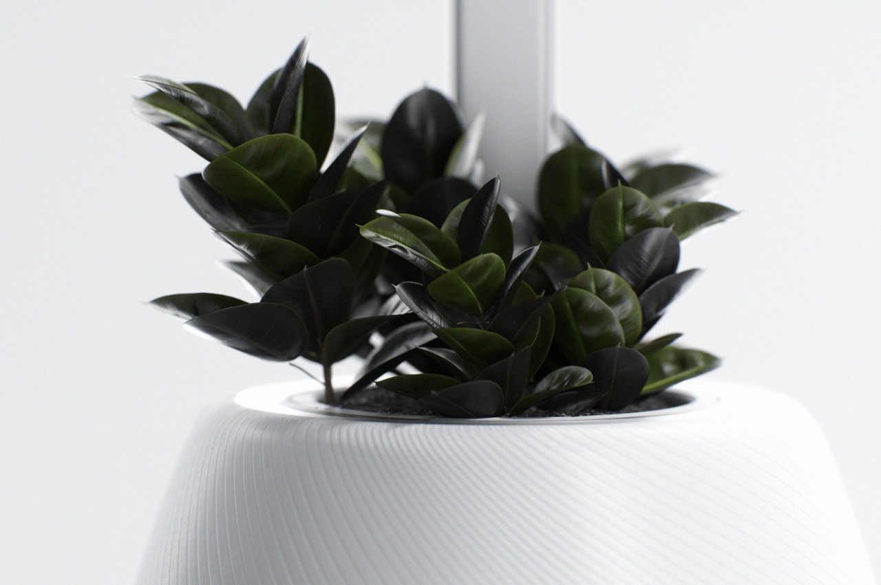 This self-sufficient plant pot is also a beautiful desk light and decoration