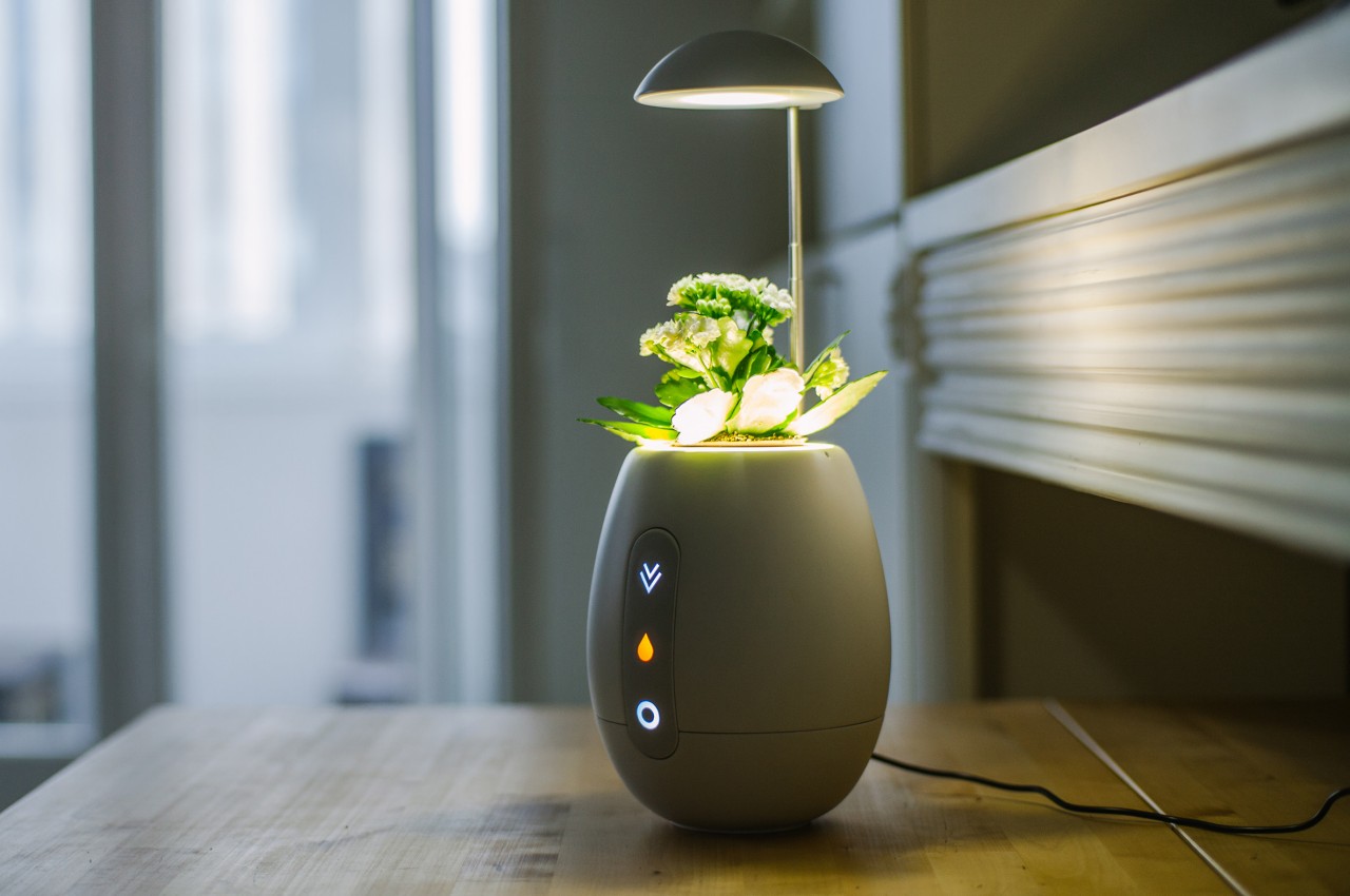 #This self-sufficient plant pot is also a beautiful desk light and decoration