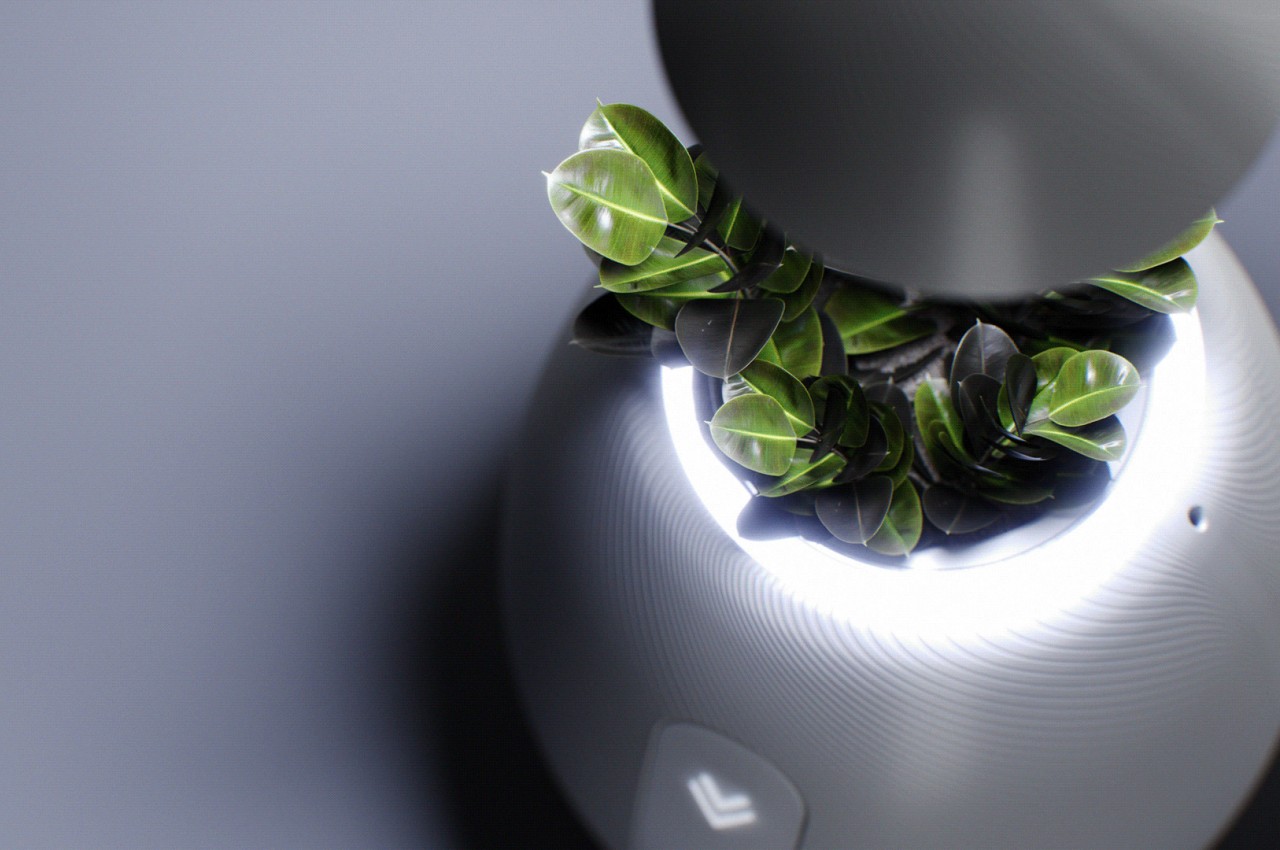 This self-sufficient plant pot is also a beautiful desk light and decoration