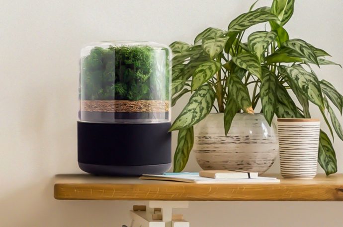 Top 10 Living Room Accessories gift guide to achieve your lifestyle goals along with your interior goals