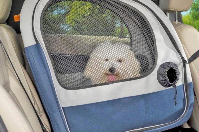 This collapsible dog crate keeps your pet safe and free while traveling in your car