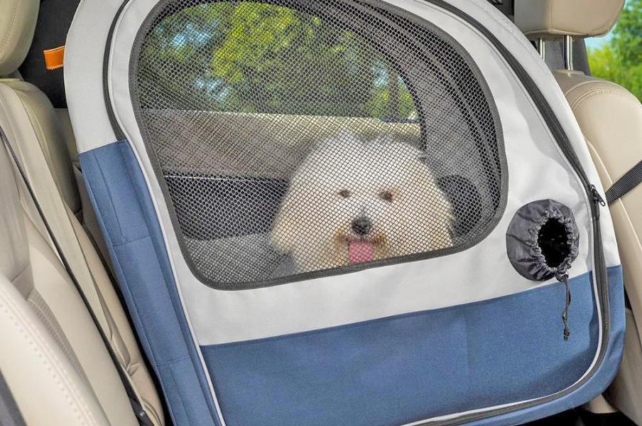 #This collapsible dog crate keeps your pet safe and free while traveling in your car