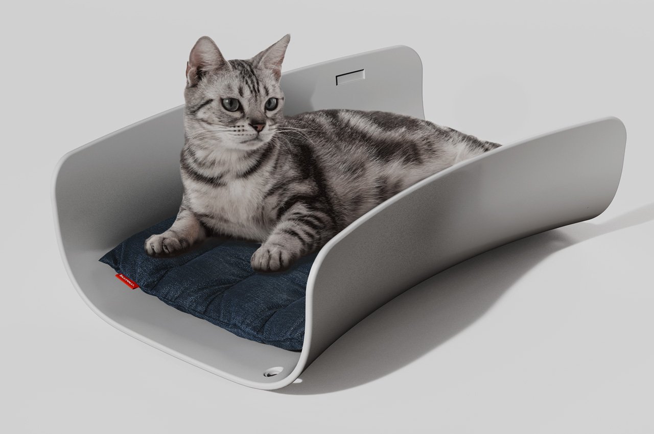 Top 10 products designed to give your pet a happy comfy life