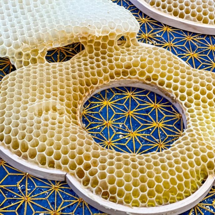 Unique embroidery mixed-media art get contribution from actual bees