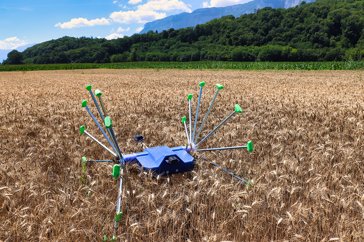#AI-powered crop scouting robot promises better yields with sensible farming