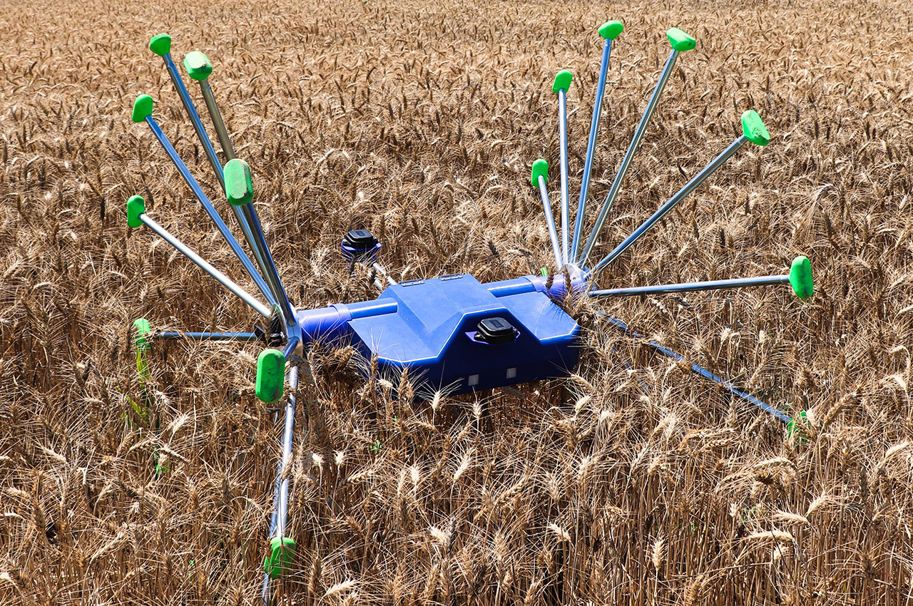 AI-powered crop scouting robot promises better yields with sensible farming