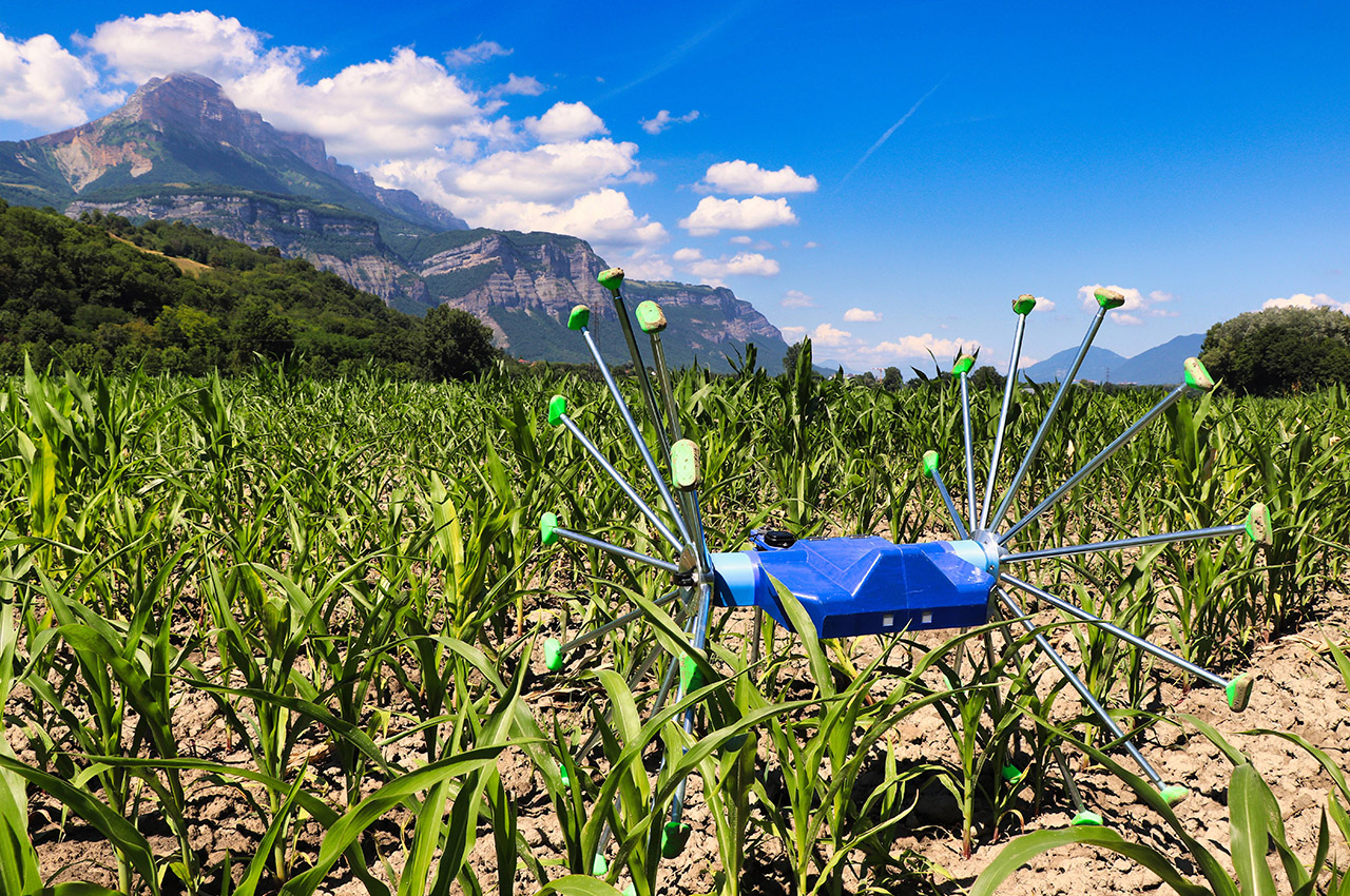 AI-powered crop scouting robot promises better yields with sensible farming