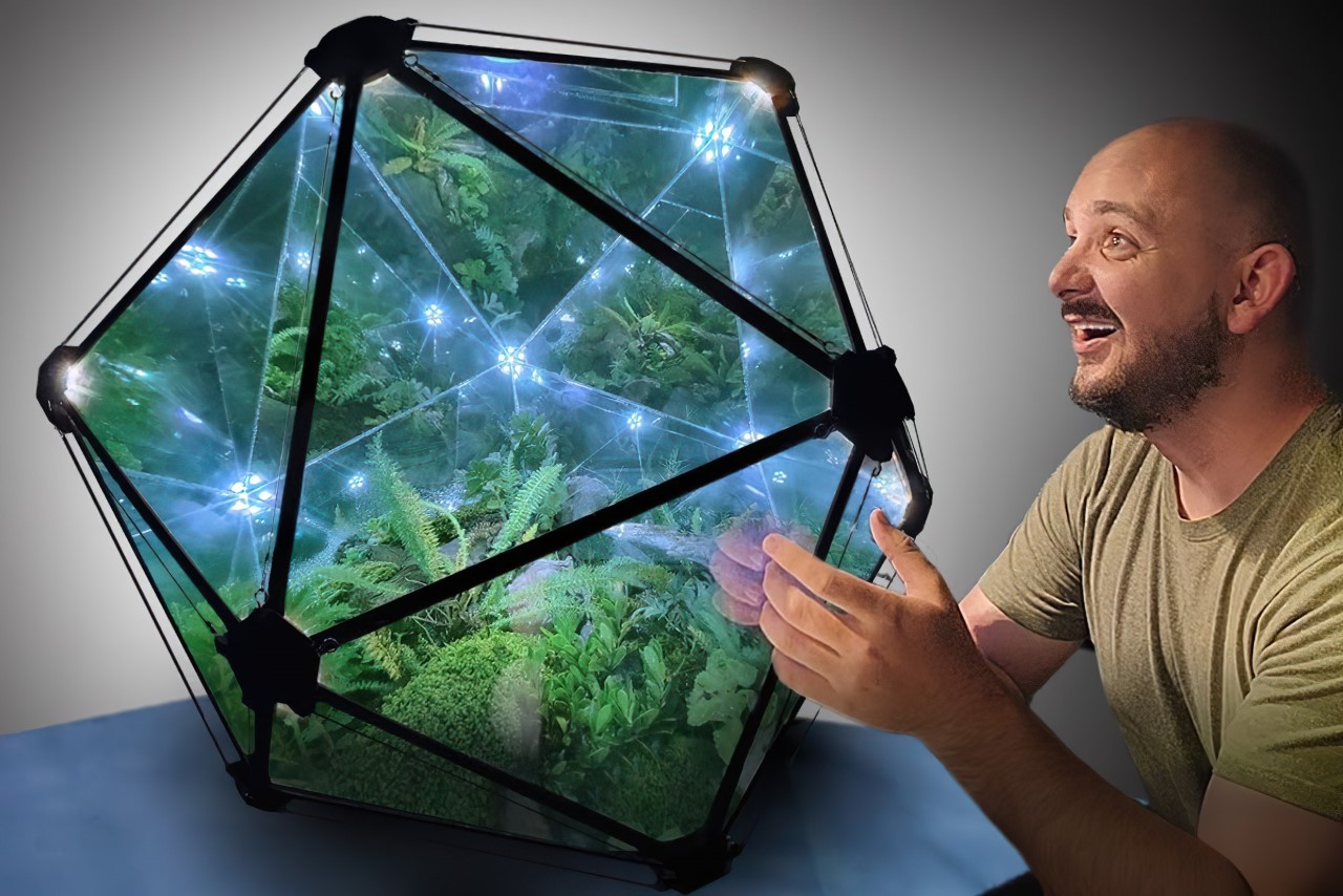 #This DIY terrarium sits inside a massive icosahedral infinity mirror!
