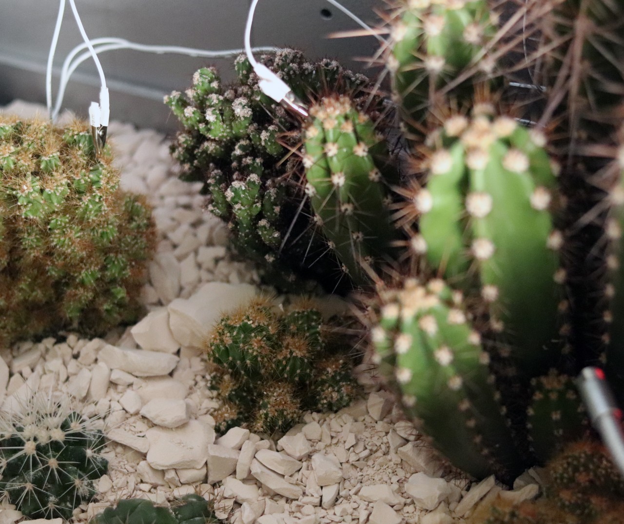 This strange-looking plant box uses science to create eerie music