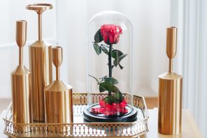 The perfect Valentine’s gift: This real rose blooms for more than a year as a symbol of eternal love