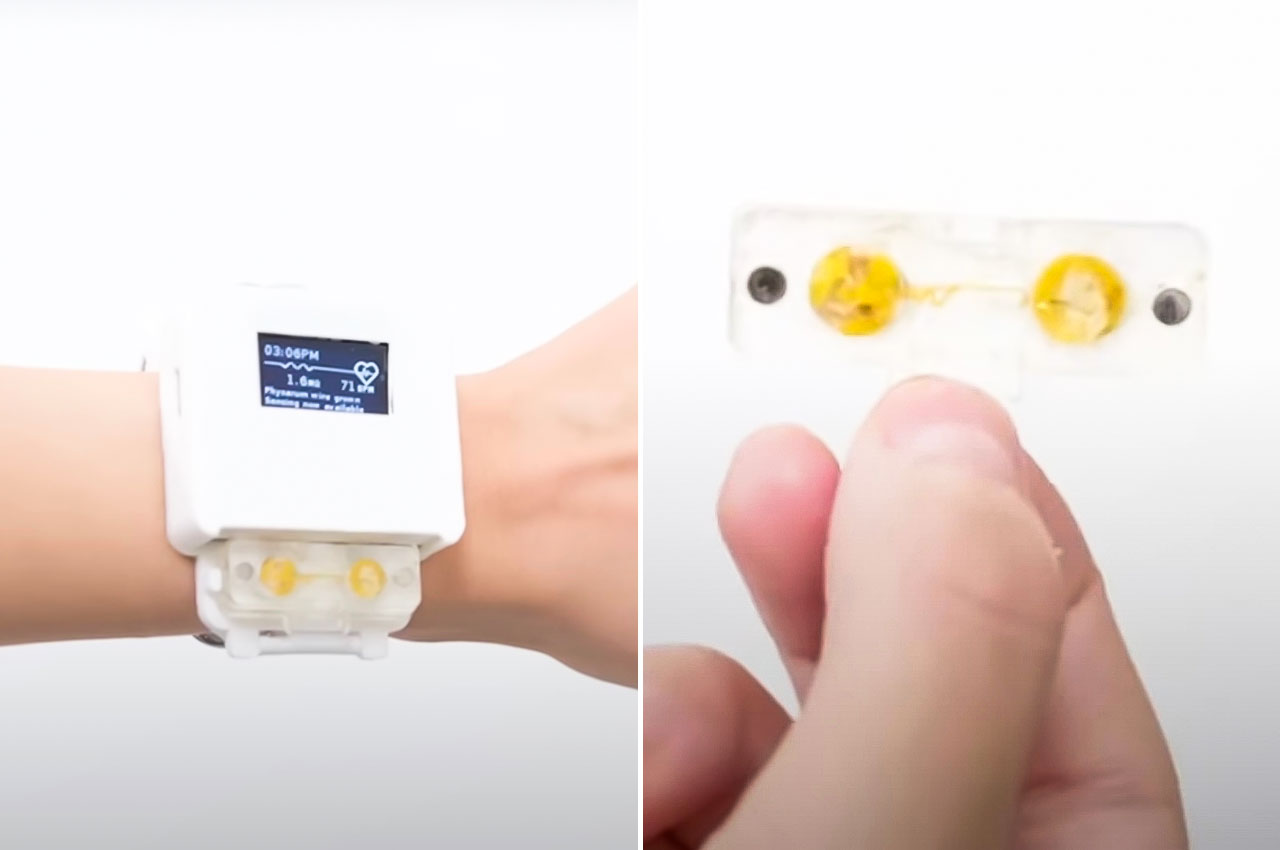 #Smartwatch powered by “slime” that needs to be watered and fed