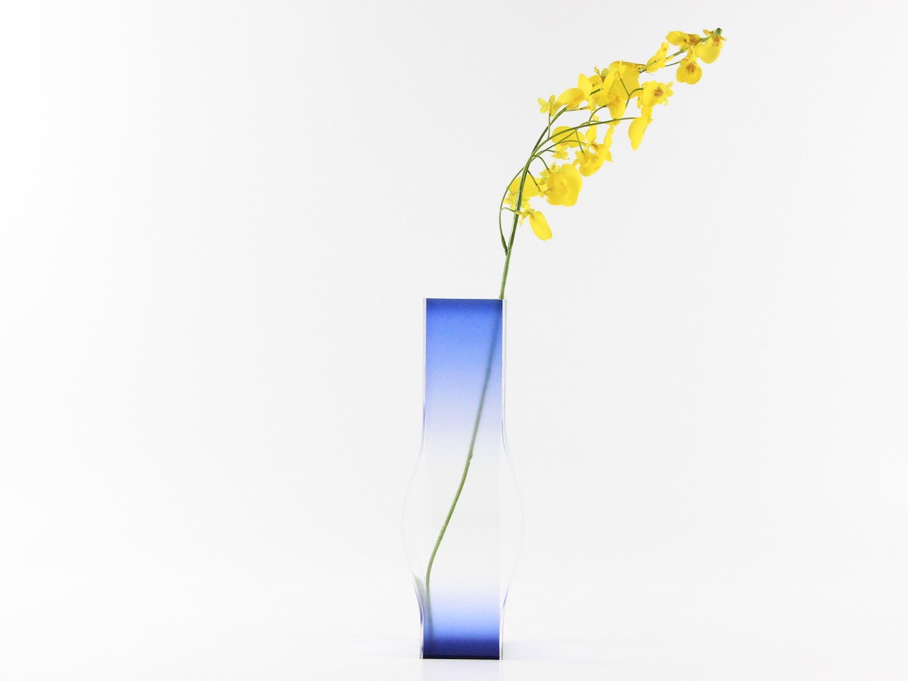 Transparent vases create an optical illusion of colors stretching into nothingness