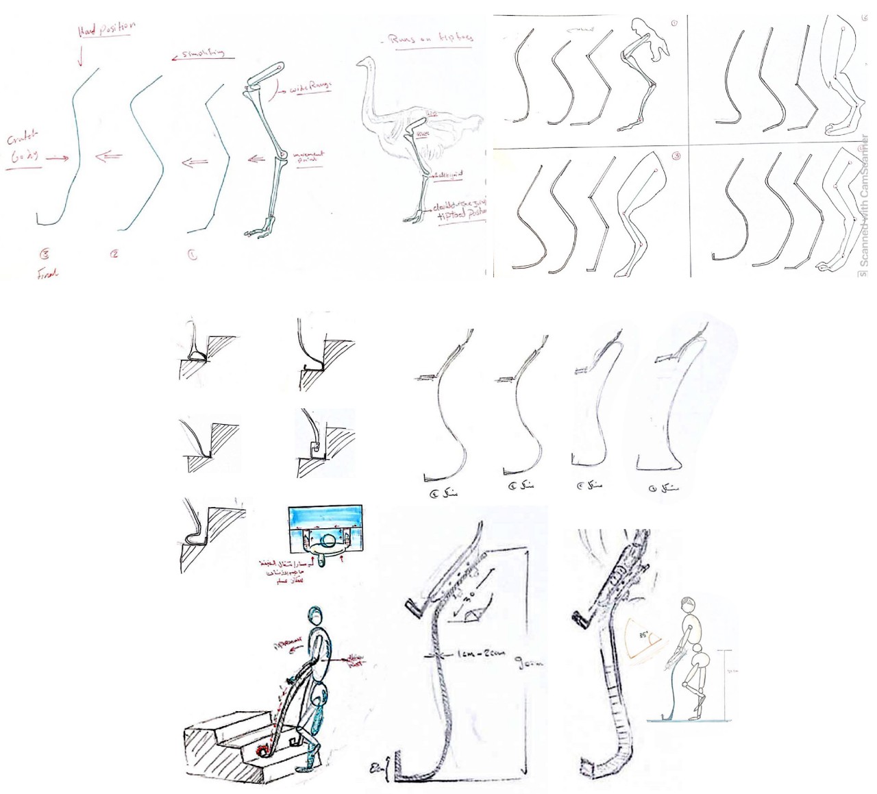 Lightweight crutch concept takes inspiration from a flightless but fast bird