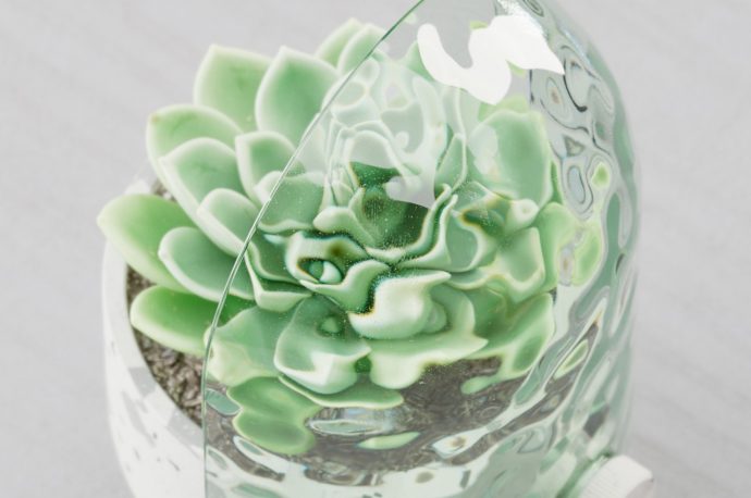 Odd planter concept lets you enjoy observing your plants grow in a fun way