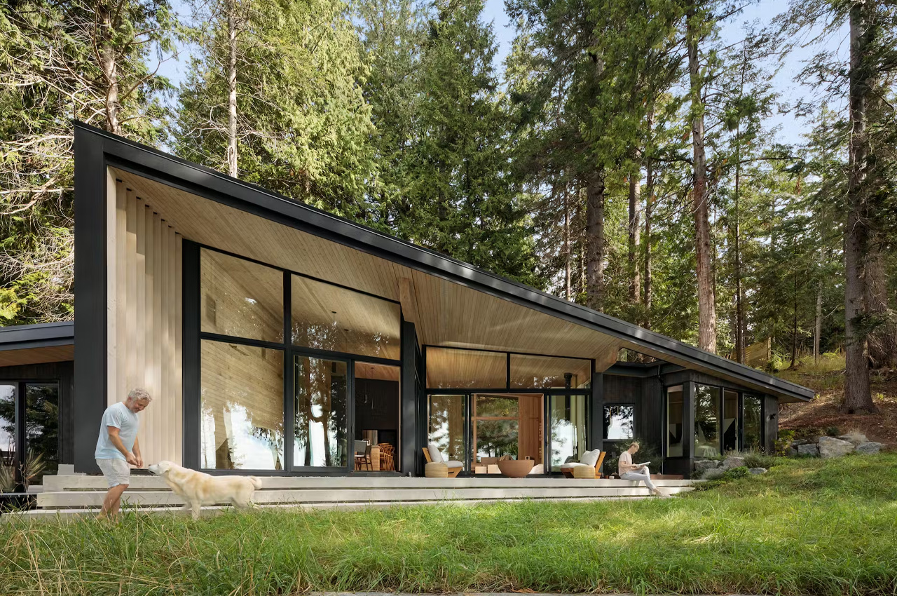 #Angular black cabin in the woods of British Colombia is the peaceful haven nature lovers dream about