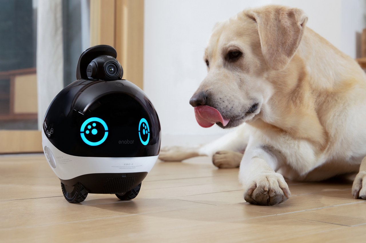 Rocon Ebo AIR Pet Robot Camera - Movable 1080p Indoor Cam With Night Vision, 2-Way Talk, Auto Patrol