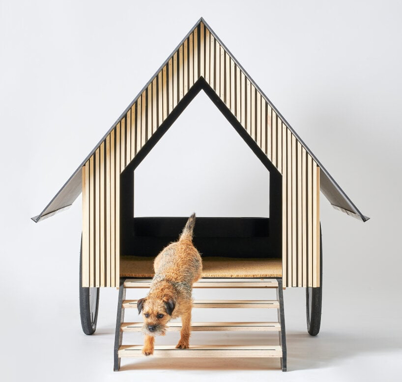 Wooden hut on wheels is the ultimate dog house to help doggos live a nomadic life on the go
