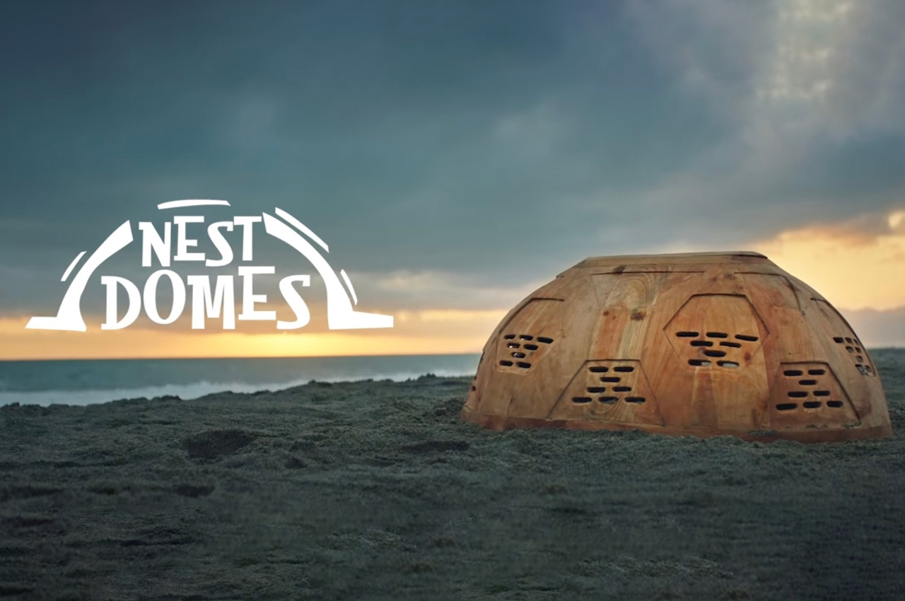 Domes created from banana boats protect endangered sea turtles while balancing their population