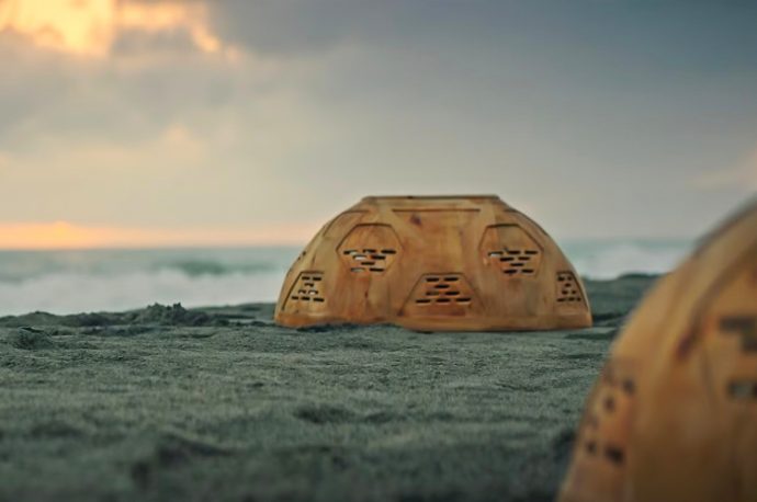 Domes created from banana boats protect endangered sea turtles while balancing their population