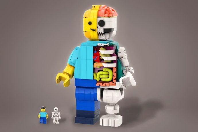 Here’s What The Insides of Your LEGO Figure Would Look Like In Real Life