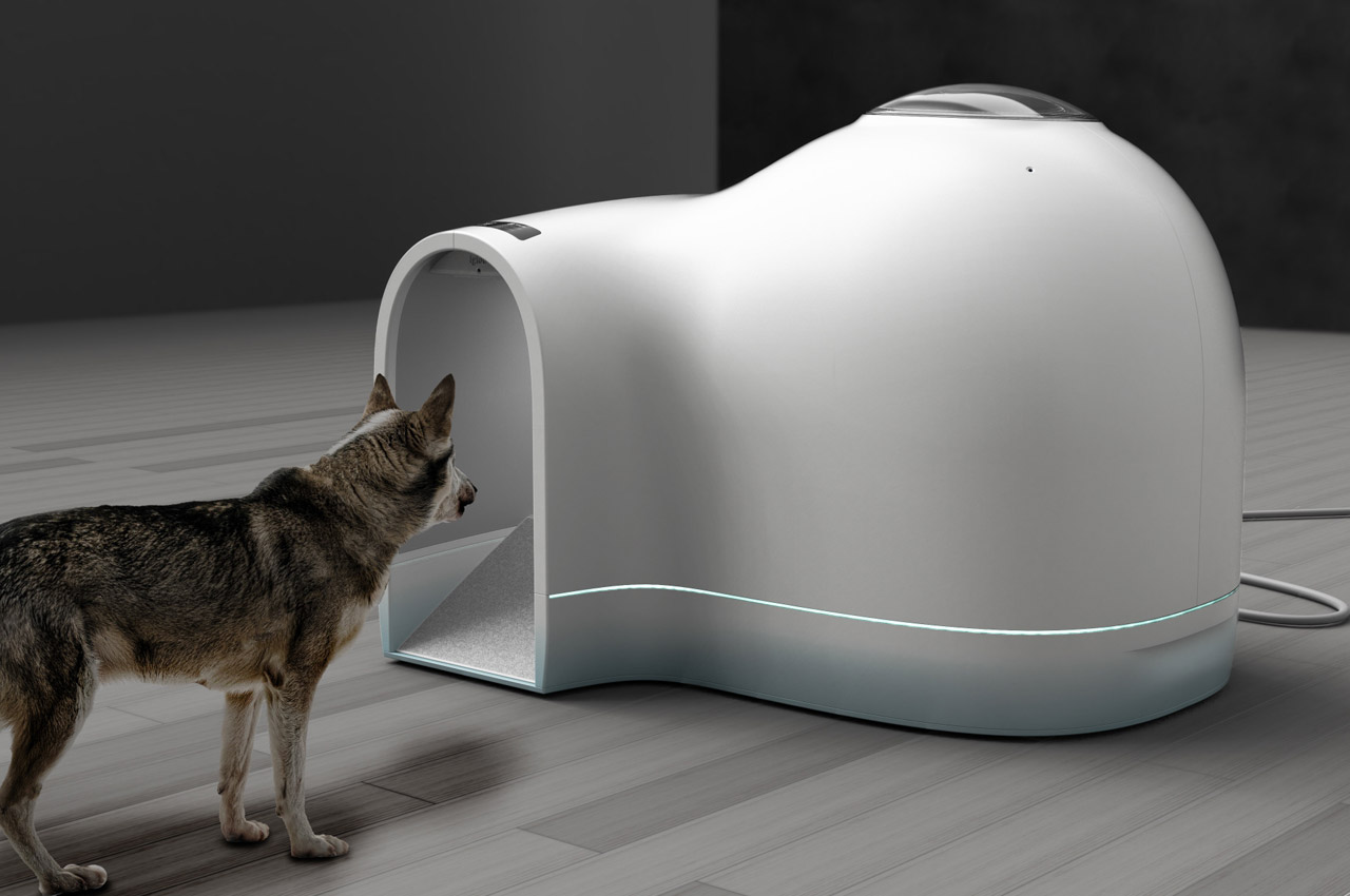 #Doggy Igloo will be a refreshing haven for your pooch during the hottest months of the year
