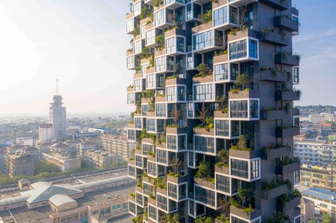What Is The Concept of Biophilic Design?