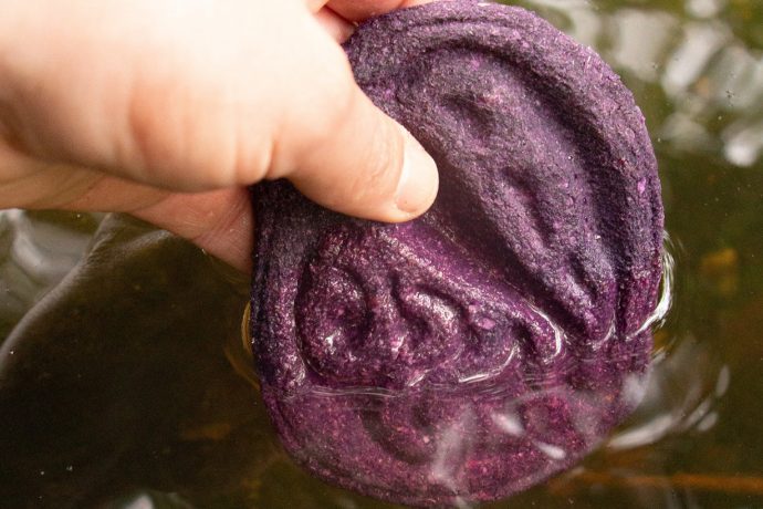 Clever Bio-Tool Made From Red Cabbage Detects If Your Water Is Contaminated