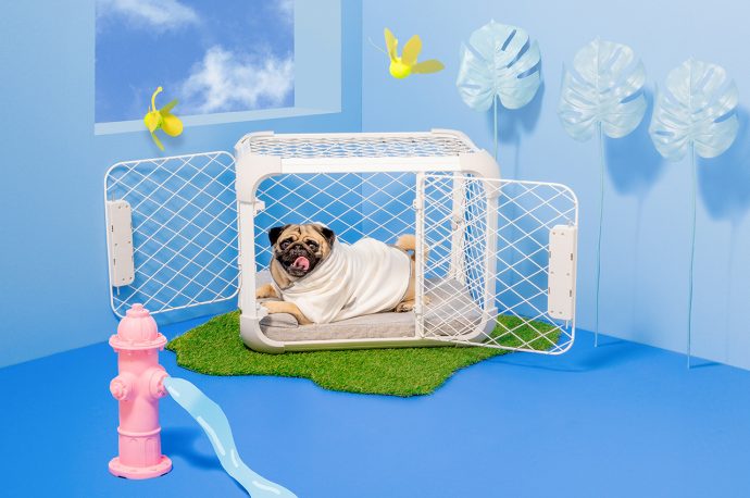 This Dog Crate-Playpen Hybrid Evolves With Your Growing Furry Friend’s Needs